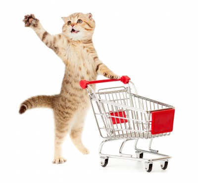 Health & Safety Data Boosts Pet Healthcare Trends | MarketResearch.com