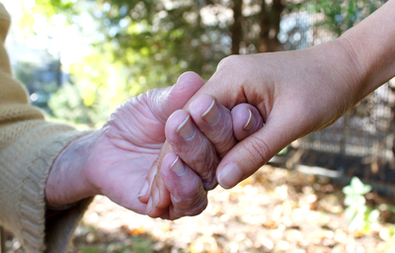 The Risky Business of Healthcare for Seniors