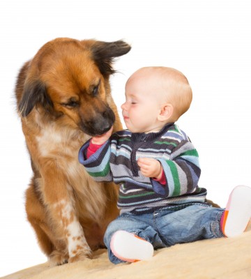 Pets, The Family We Choose | MarketResearch.com