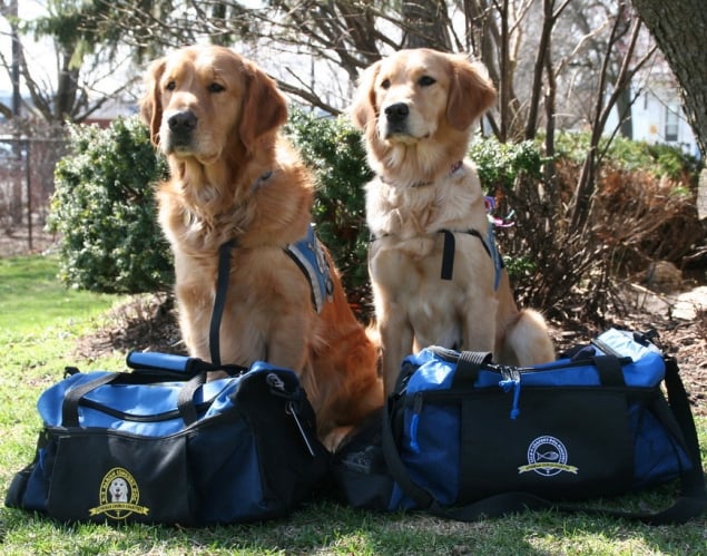 Puppy Love Helps Nation Heal After Tragedies | MarketResearch.com