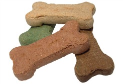 Dog Treats_Featured on www.blog.marketresearch.com