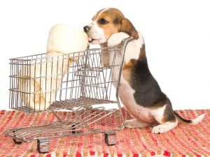 The U.S. Pet Market's Emphasis on Natural & Organic