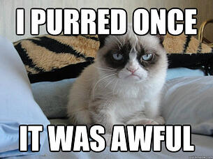 GrumpyCat