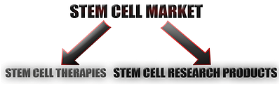 Stem_Cell_Market, featured on www.blog.marketresearch.com