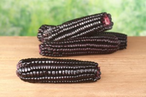 purple_corn, featured on www.blog.marketresearch.com