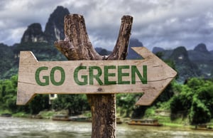 Go Green деревянный знак на фоне леса