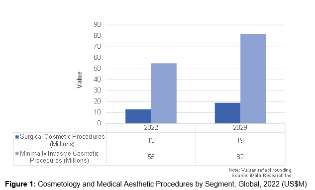 Graph Cosmetology and Medical Aesthetic Procedures by Segment, Global, 2022