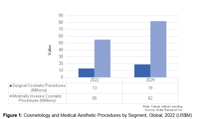 График косметологических и эстетических медицинских процедур по сегментам, глобальный, 2022 г.