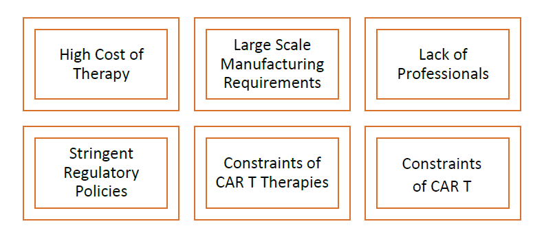 Графические ограничения рынка CAR-T-клеточной терапии