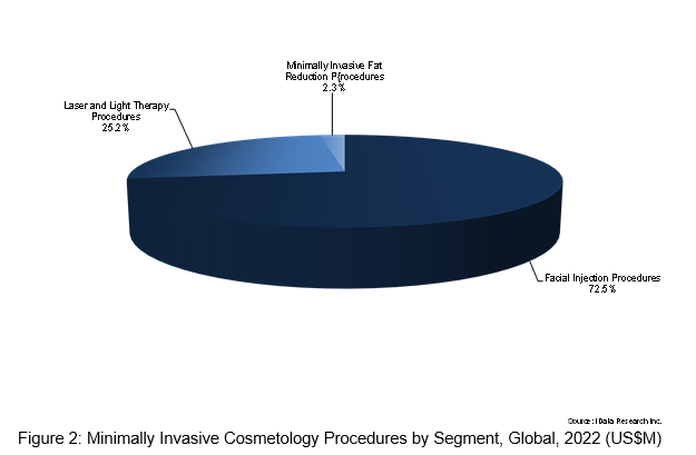 Pie Chart Minimally Invasive Cosmetology Procedures by Segment, Global 2022