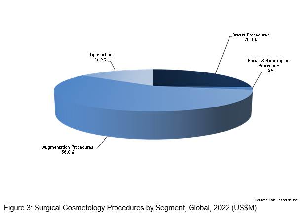 Pie Chart Surgical Cosmetology Procedures by Segment, Global 2022