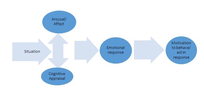 emotion analysis in market research.jpg