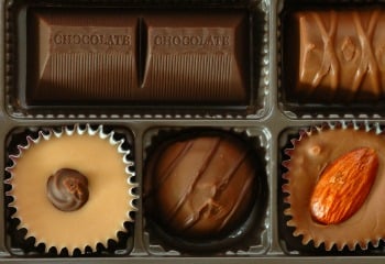 Chocolate Industry.jpg