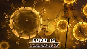 development of COVID-19 tests using molecular diagnostics