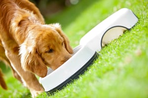 U.S. pet food industry data