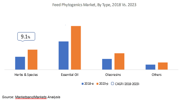 feed phytogenics chart market by type