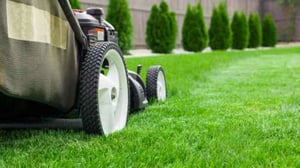 Landscaping industry analysis