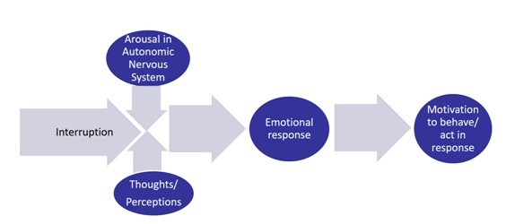 Measuring Emotions in Market Research: Are We Focused on the Right Things?