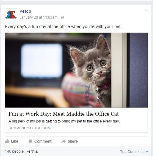How Pet Retailers Engage Online Consumers