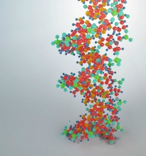 CRISPR/Cas: A New Frontier in Genetic Manipulation