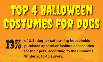 Infographic: Top 4 Halloween Costumes for Dogs