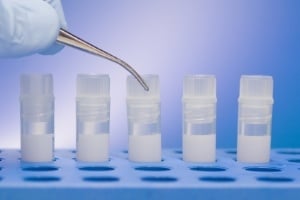 Stem Cells, featured on blog.marketresearch.com