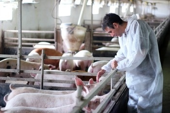Animal Welfare an Increasing Concern for Consumers